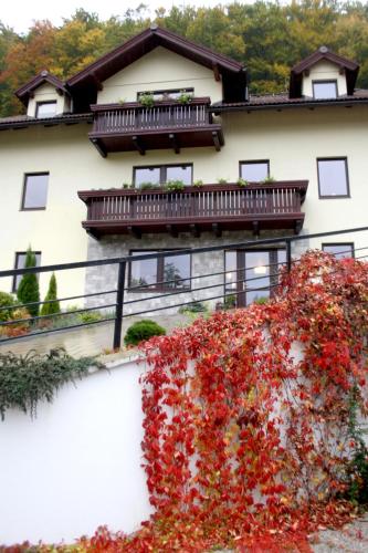 Guest House Vila Pod Lesom