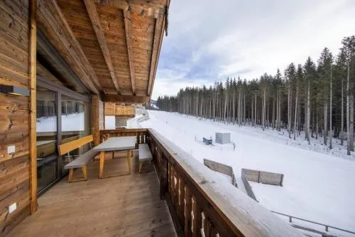 Nationalpark Chalet Säulspitze in Neukirchen am Großvenediger, Österreich