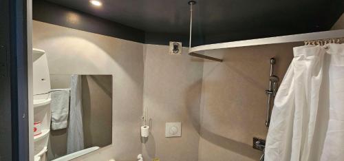 Brit Hotel Albi - image 10