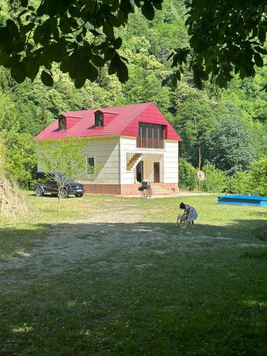 Holiday house in nature