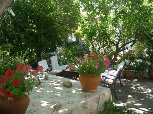  Studios Maria, Pension in Pythagoreio