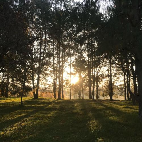 Kilátás, Cabaña Abigel (Cabana Abigel) in Col Altica