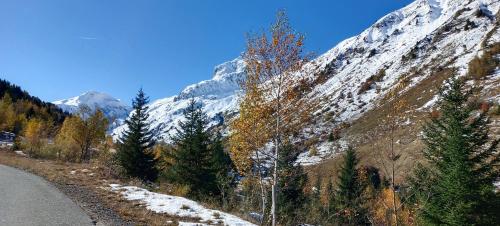 Chalet Le Loup Bouquetin in Saint Colomban Des Villards