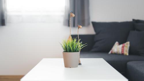 Merlin - Apartment - Lienz