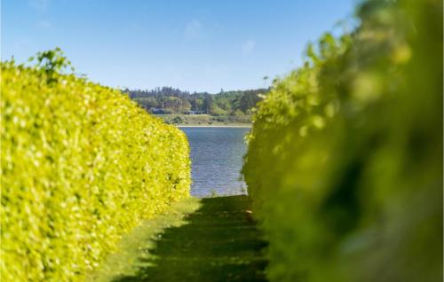  3 Bedroom Cozy Home In Højslev in Højslev