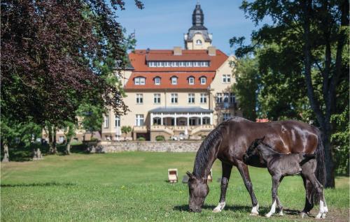 Stunning home in Kuhlen Wendorf w/ WiFi and 2 Bedrooms - image 6