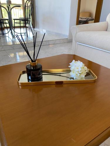 Yota's House Yota's House