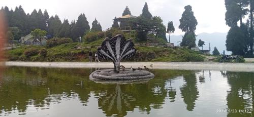 Lama homestay in Hillside