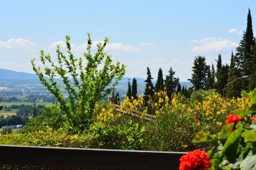 B&B Il Giovine 3