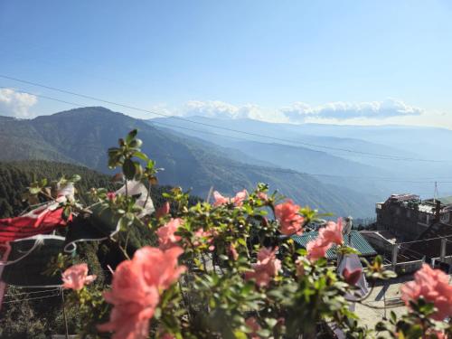 Lama homestay in Hillside