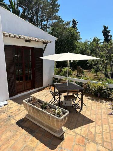 Facilities, Charming swimming pool villa in Cabeco Esteves