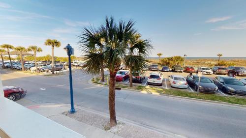 Dolphin Watch 01 by Tybee Beach Vacation Rentals Dolphin Watch 01 by Tybee Beach Vacation Rentals
