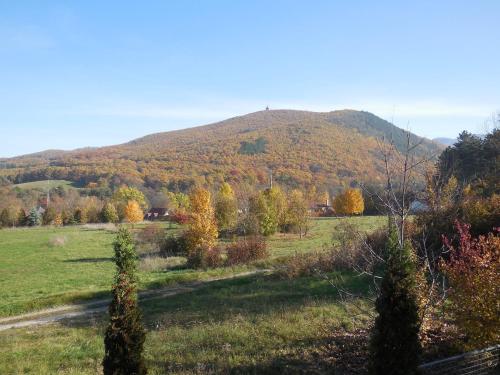 Hegyi Panzió - image 13