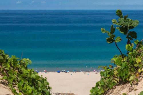 Modern Luxury Home Pool & Spa at Warren Dunes