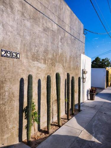 Departamento con Terraza in La Paz, Mexico