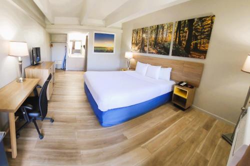 Days Inn by Wyndham Denver Downtown Room Type - King Room - Non-Smoking