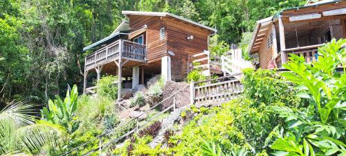Le Bougainvillier Blanc in Pointe-Noire
