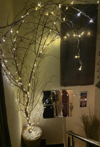 Divine continental - image 2