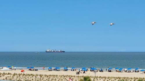 The Vue 237 by Tybee Beach Vacation Rentals The Vue 237 by Tybee Beach Vacation Rentals