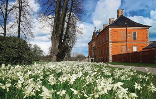 Holiday home Zum Anleger I - image 10