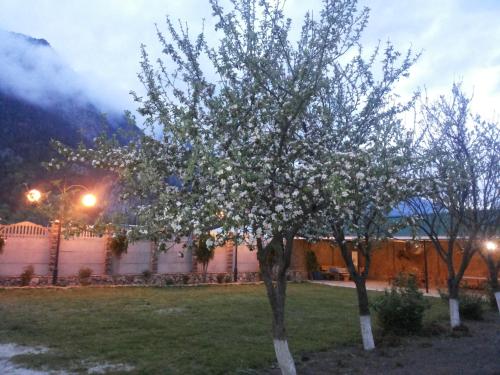 Guest House Teberda - image 2