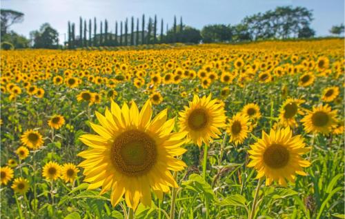 Зовнішній вигляд готелю, Agriturismo Le Cannelle in Санта Лус