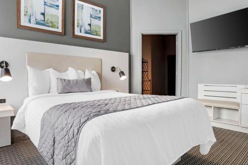 Best Western Plus Two Rivers Hotel & Suites in Demopolis