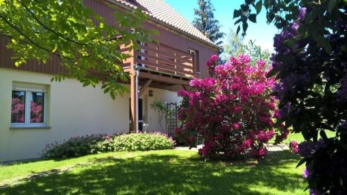 Appartement In Schönfeld Mit Großem Garten, Drážďany (fotografie 8)