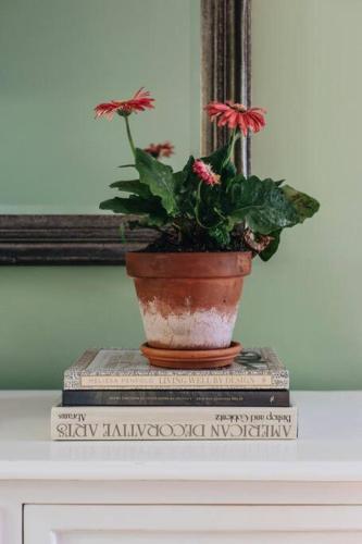 Treehouse Southern Highlands