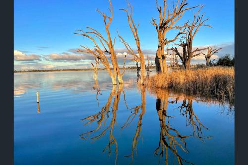 周邊環境, The Jetty House - Lake Bonney Riverland in 巴米拉