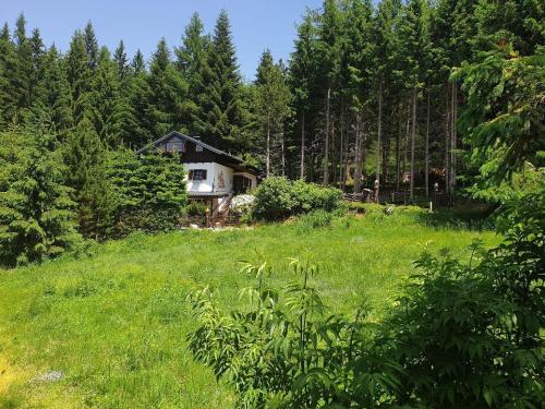 AlmFerienhaus Gaisegg am Klippitztörl in Klippitztorl