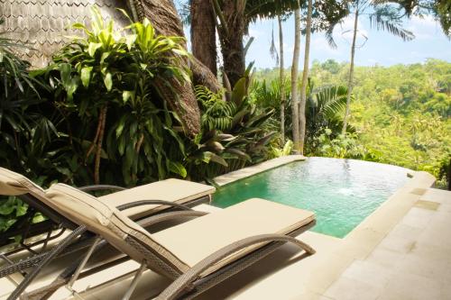 クプ クプ バロン ヴィラズ & ツリー スパ9