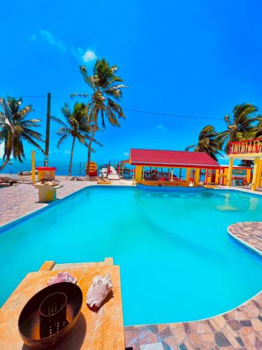 Quầy bar/Pub, Tropical Paradise Express in Caye Caulker