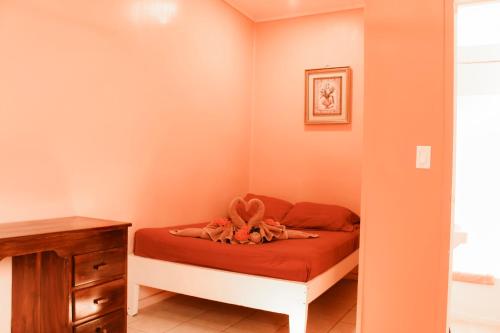 Tropical Paradise Express in Caye Caulker