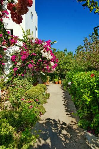 Paul's Garden Studios 4