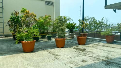 Modern and Homey 2BR at MT Haryono Square Apartment By Travelio