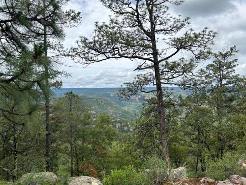 Vaatamisväärsus lähikonnas, Cabaña Rincón del Bosque en Durango (Cabana Rincon del Bosque en Durango) in Refugio