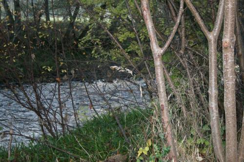 BCC Lochness Glamping