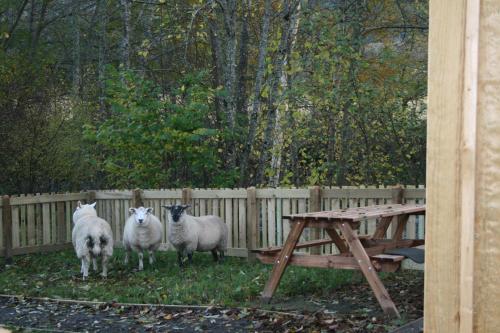 BCC Lochness Glamping