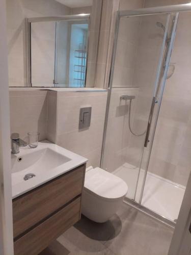 Luxury Apartment in Dun Laoghaire, Dublin (fotografie 8)