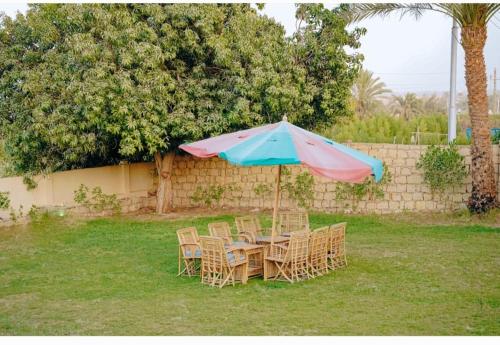Sun house, Tunis (foto 8)