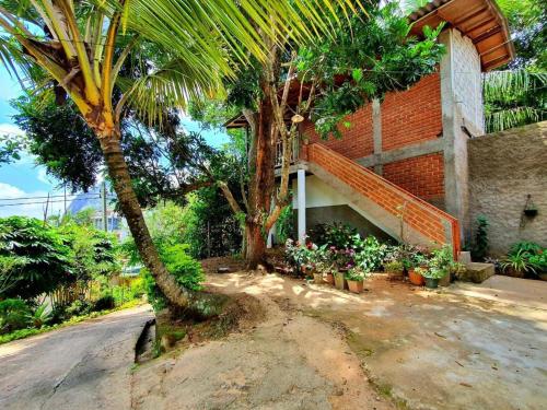 Sunbeam Homestay - image 2