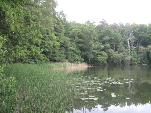 Gemütlicher Ferienbungalow mit eigenem Ruderboot (Gemutlicher Ferienbungalow mit eigenem Ruderboot) in Crivitz