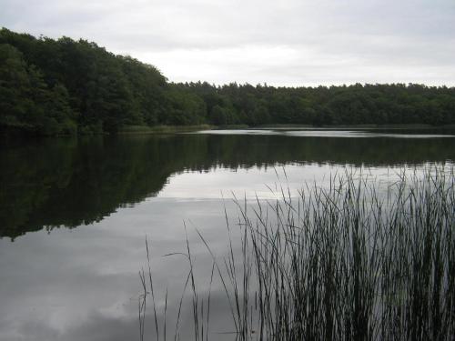 Gemütlicher Ferienbungalow mit eigenem Ruderboot (Gemutlicher Ferienbungalow mit eigenem Ruderboot) in Crivitz