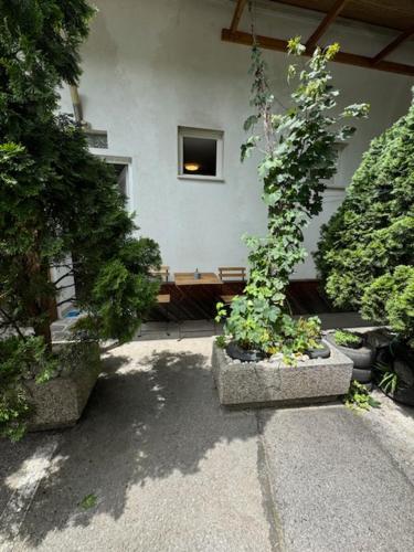 Cozy flat near Tivoli park with free parking, Lublaň (fotografie 5)