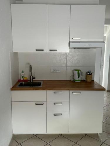 Cozy flat near Tivoli park with free parking, Lublaň (fotografie 6)