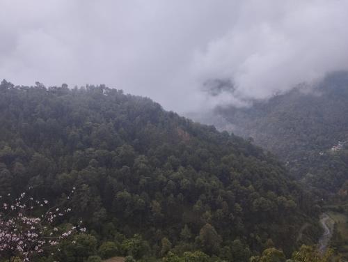 Sunshine home stay alone time with nature Sunshine home stay alone time with nature