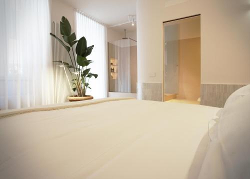 allegra suites 2