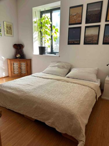 Wellness Rental Vienna, Bratislava II
