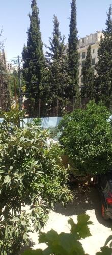 حنضلةHandala Guest House in Bethlehem